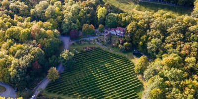 vignoble_les_murmures_1