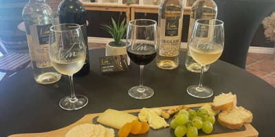 vignoble_morou_1