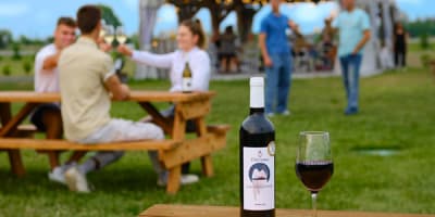 vignoble_vineterra_1