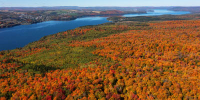 visite_des_parc_nationaux_du_bas_saint_laurent_1_a