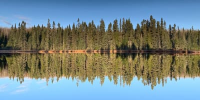 zec_kiskissink_1