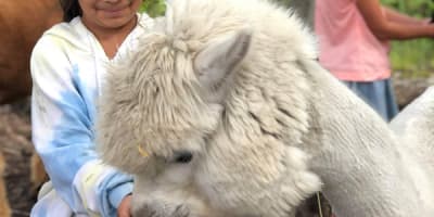 zoo_animation_estrie_1