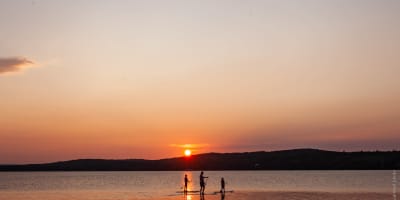 Trois personnes en planche à pagaie au coucher du soleil à la plage de Haldimand.