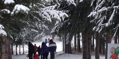 Balade en forêt en famille. 