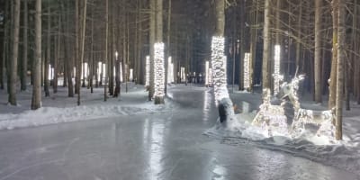 Sentier de patin en forêt de Lac-Simon.