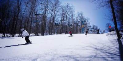 Piste de ski à Mont Habitant.