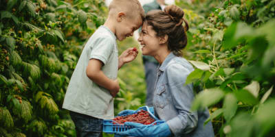 Terroir et Saveurs du Québec : famille