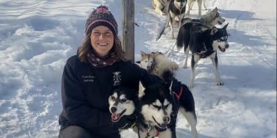 Galeox Univers, dog sled ride, Mauricie.