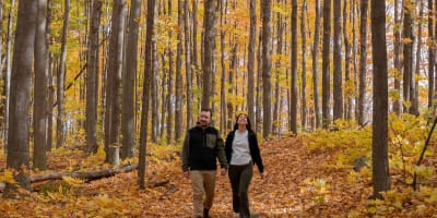 Couple marchant dans un paysage coloré d'automne.
