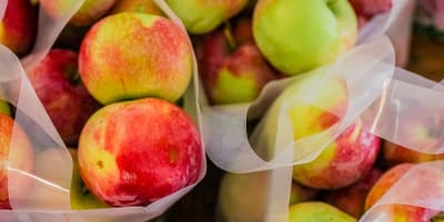 Verger Le Gros Pierre - Des sacs de pommes