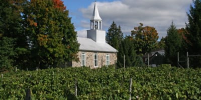 Vignoble Clos Ste-Croix de Dunham