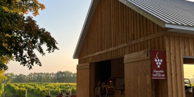 Vignoble Le Di-Vin