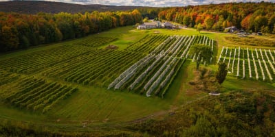 Vue aérienne du Vignoble Les Côtes du Gavet en automne.