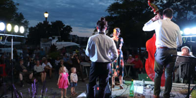 Spectacle musicien sur scène