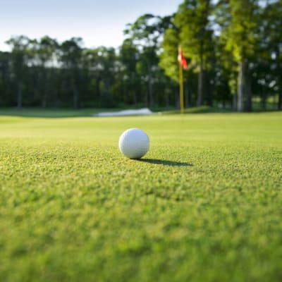 Multi-Course Golf Package 