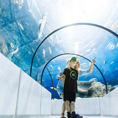 Forfait Aquarium du Québec et déjeuner