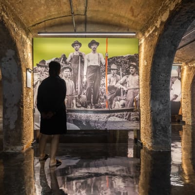 Cultural Outing: Experience Boréalis in Trois-Rivières