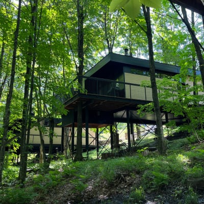 Cabin Sutton