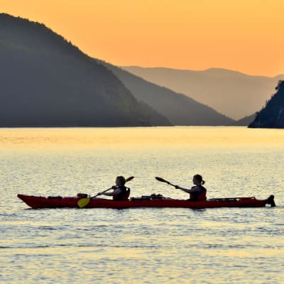 Whales & Nature Package
