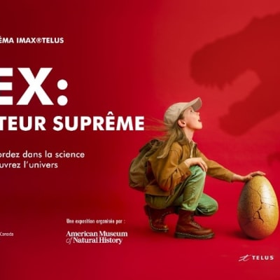 The T. rex experience: Voyage into the world of a legendary predator