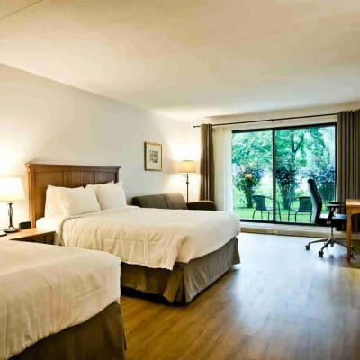 Promotion 2 nights 20%