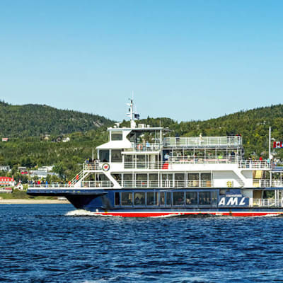 Whale-Watching Boat Tour in Tadoussac