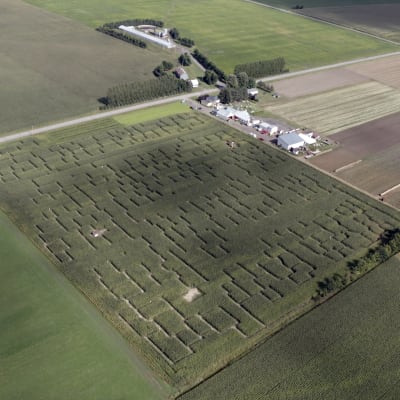 Autocueillette à la Ferme Guy Rivest