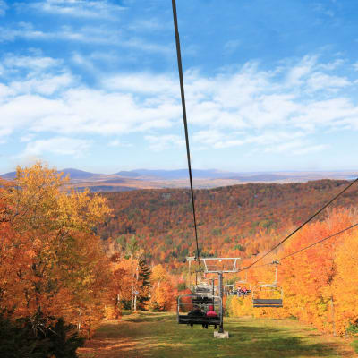 Le Festival d’automne du Mont SUTTON