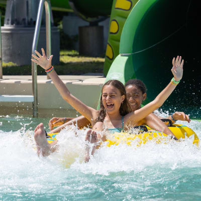 Zoo & Amazoo Package - 2 days