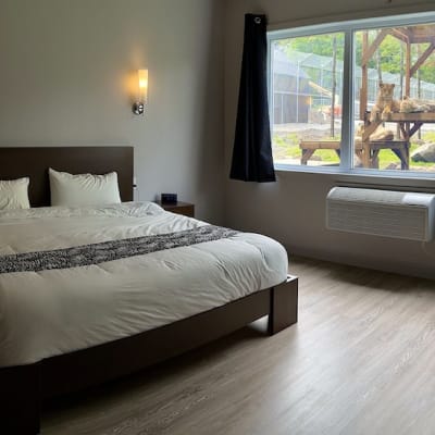 Sleep with lions Package 