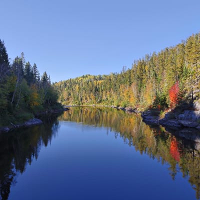 Parc le Trou de la Fée
