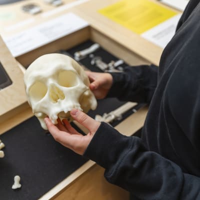 Archaeology and Criminal Investigations exhibition