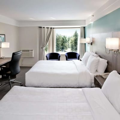 Promotion 2 nights 20%
