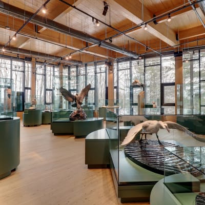 Exposition « Entre Ciel et Terre »
