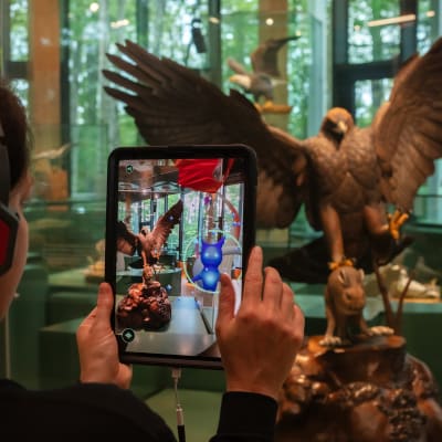 Augmented Reality: “La Légende du Bois d’Aure”
