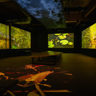 Exposition « Momenti – Découvrir le Marais autrement »