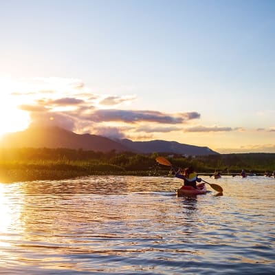 Guided Kayak Tours