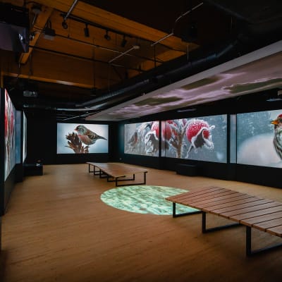 Exposition « Momenti – Découvrir le Marais autrement »