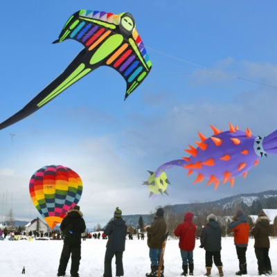 Festi-volant