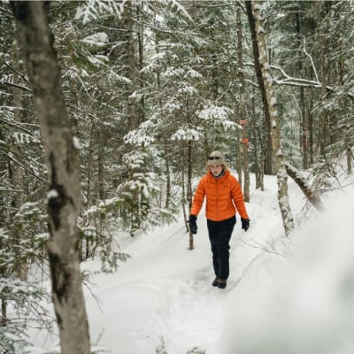 Randonnée au sentier national