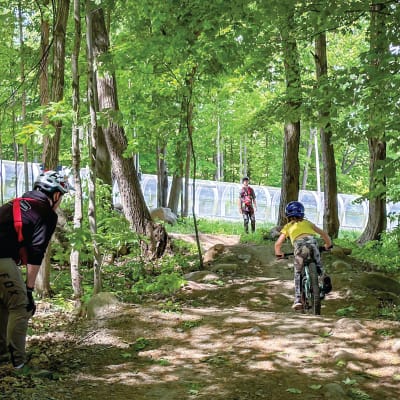 Take advantage of a 10% discount on Day Camp