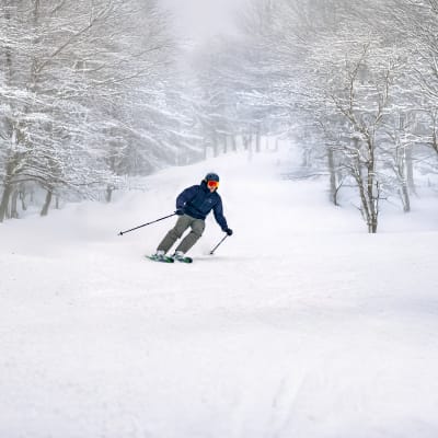 Mont Rigaud - Station de ski