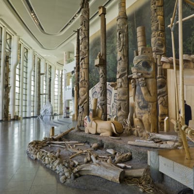 Visit of the Grand Hall