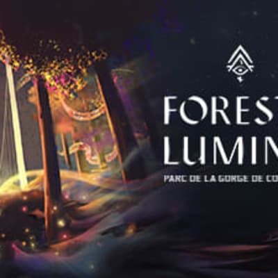 Forfait Foresta Lumina