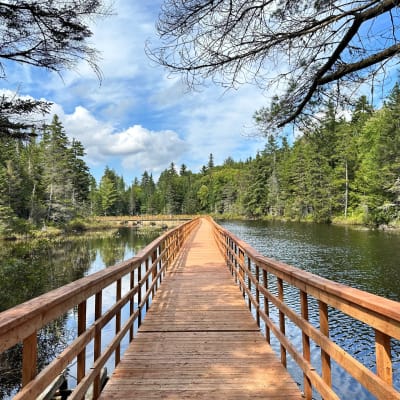 Parc Éco-Laurentides