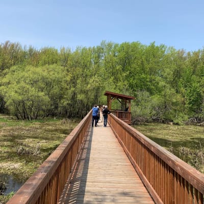 Randonnée sur passerelle