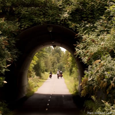Vélo