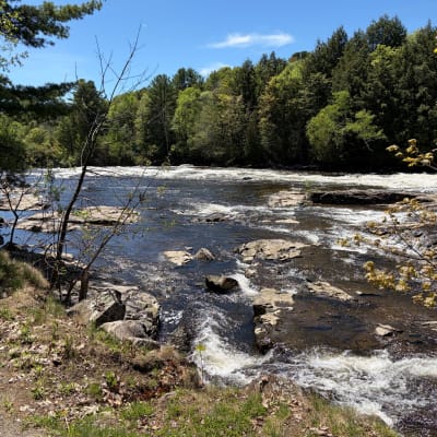 Parc régional de la Rivière-du-Nord