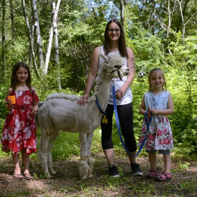Visite guidée de la ferme