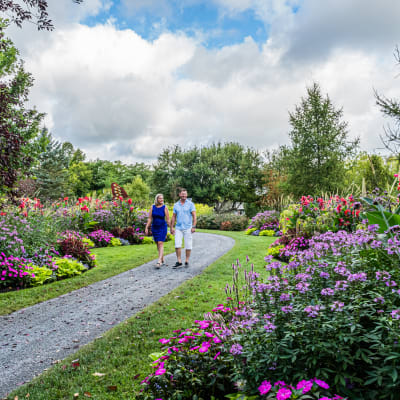 Centre-du-Québec - Bien placé pour vous étonner